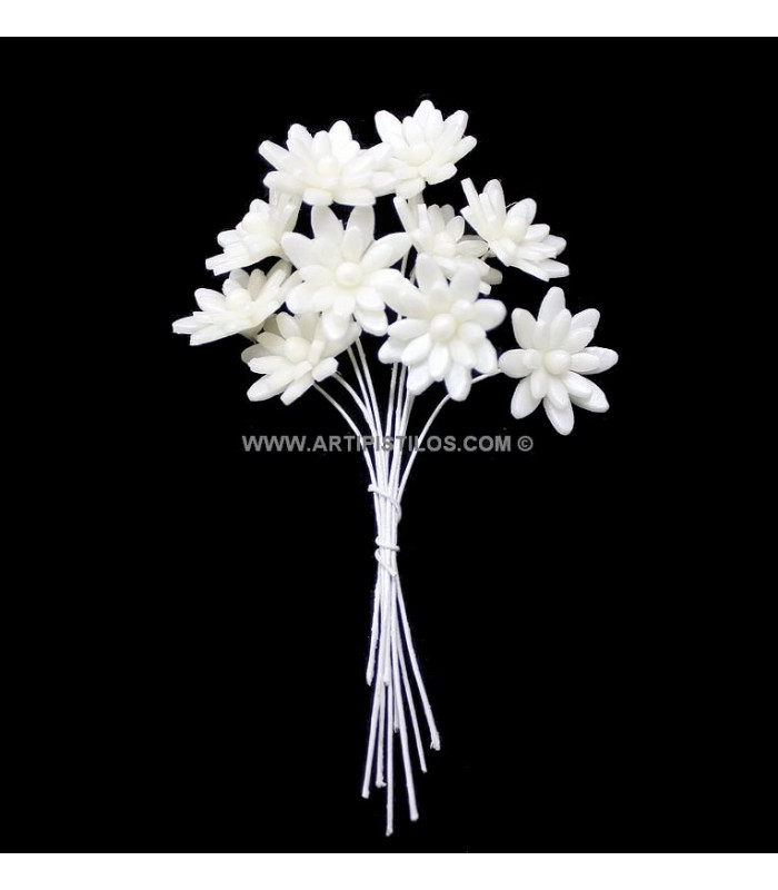 FLEUR DE PORCELAINE FROID