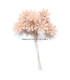 FLEUR DE PORCELAINE FROID