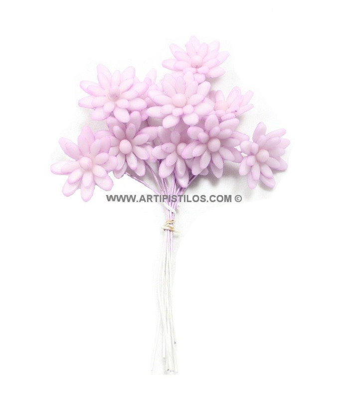 FLEUR DE PORCELAINE FROID