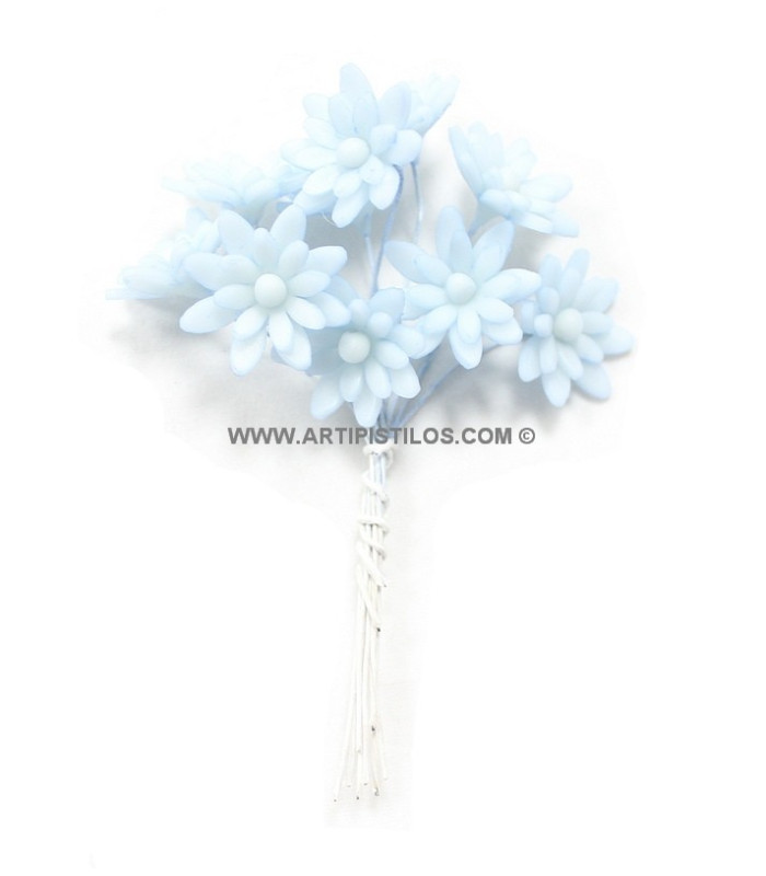 FLEUR DE PORCELAINE FROID