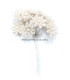FLEUR DE PORCELAINE FROID