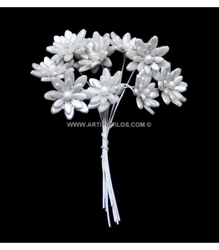 FLEUR DE PORCELAINE FROID