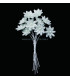 FLEUR DE PORCELAINE FROID