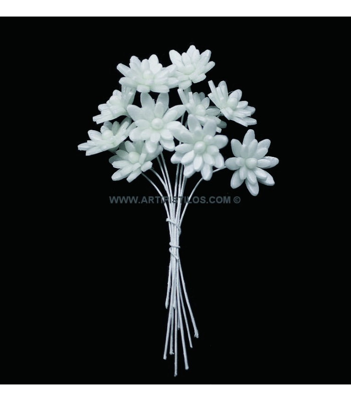 FLEUR DE PORCELAINE FROID