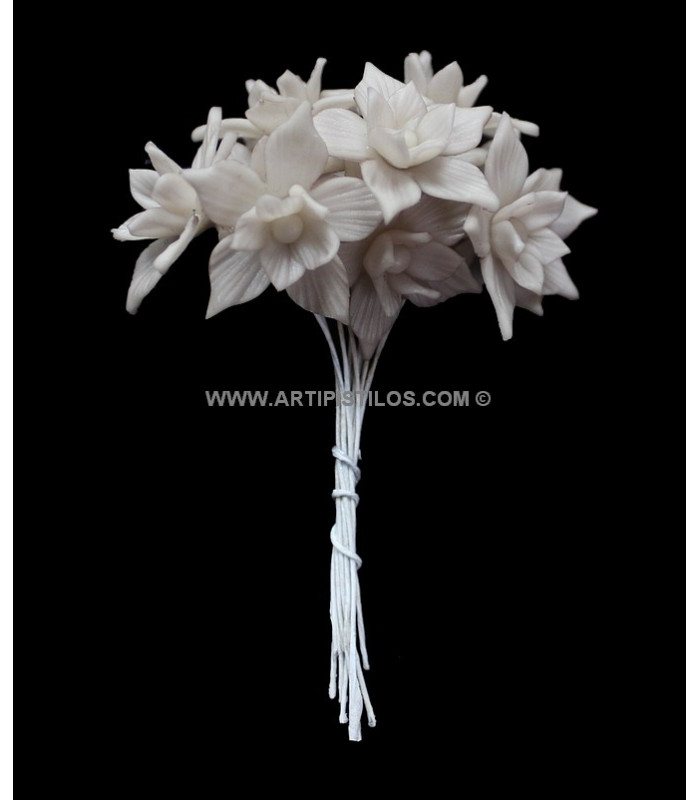 FLEUR DE PORCELAINE FROIDE