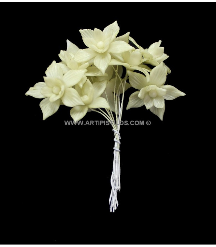 FLEUR DE PORCELAINE FROIDE