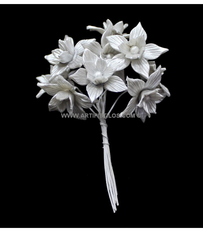 FLEUR DE PORCELAINE FROIDE