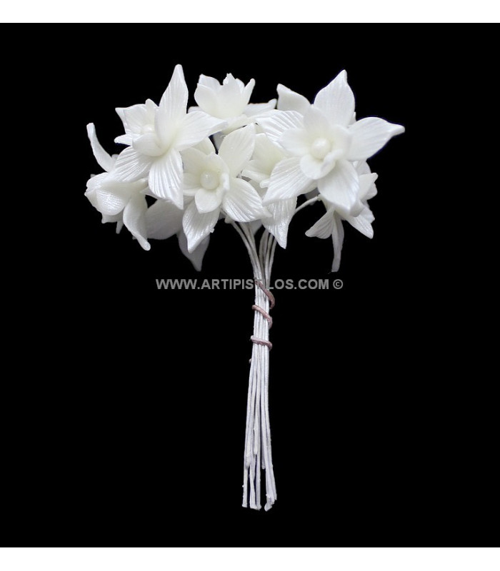 FLEUR DE PORCELAINE FROIDE