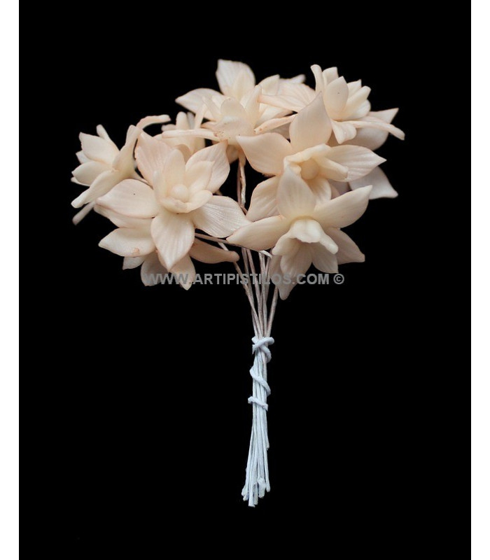 FLEUR DE PORCELAINE FROIDE