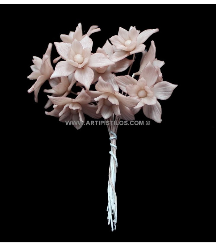 FLEUR DE PORCELAINE FROIDE
