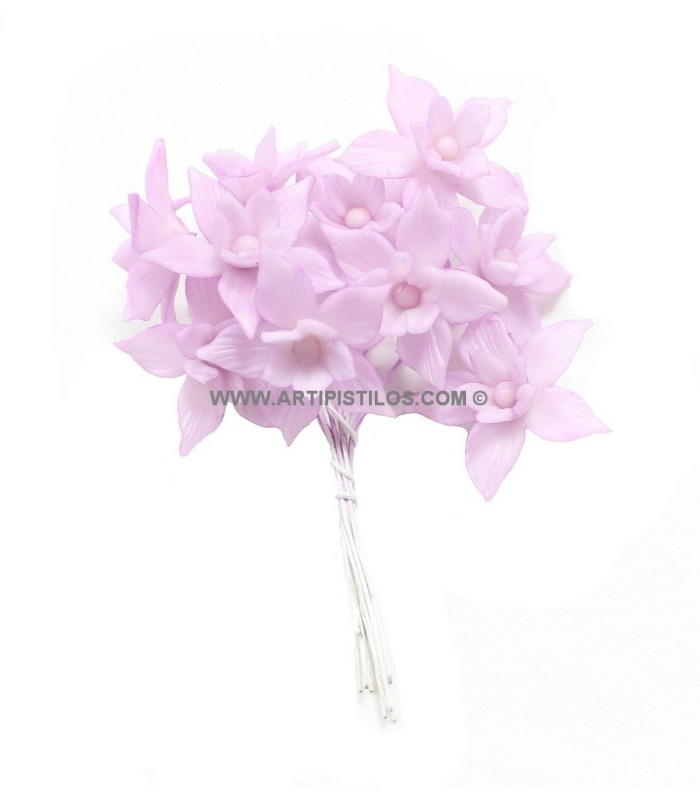 FLEUR DE PORCELAINE FROIDE
