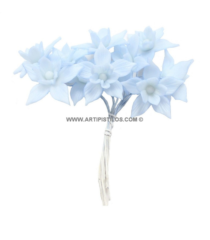 FLEUR DE PORCELAINE FROIDE