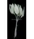 FEUILLE DE PORCELAINE FROID