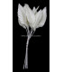 FEUILLE DE PORCELAINE FROID