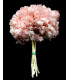 Hortensia préservé naturel