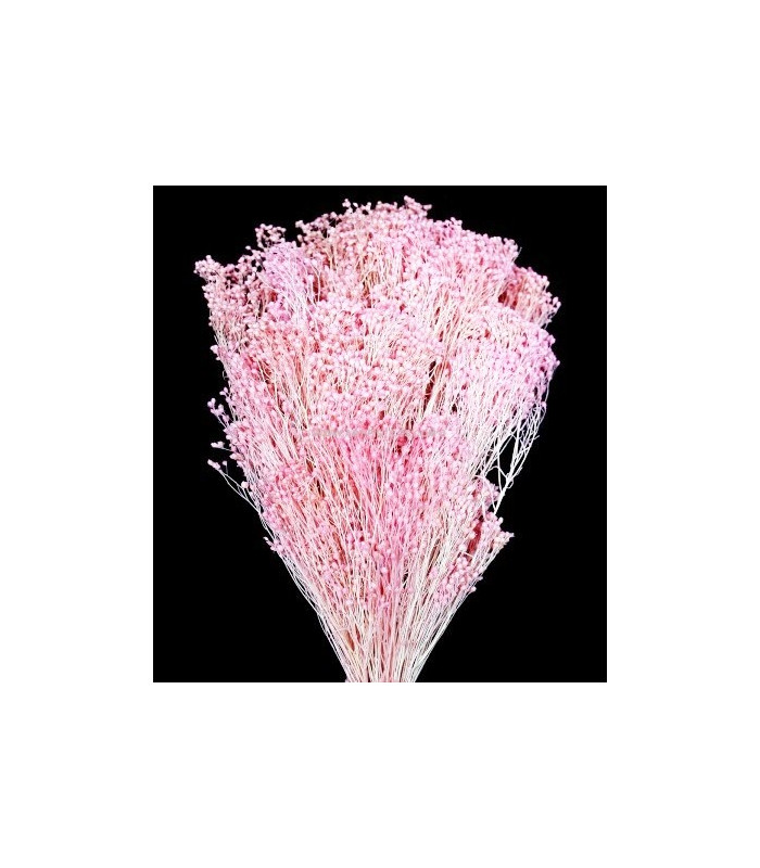 Fleur préservée