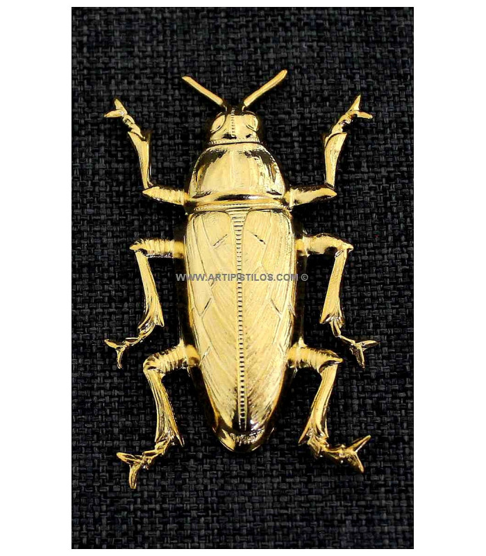 Coléoptères métalliques 37 X 66 MM