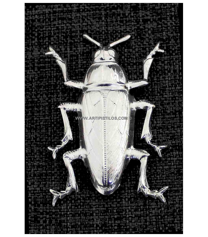 Coléoptères métalliques 37 X 66 MM