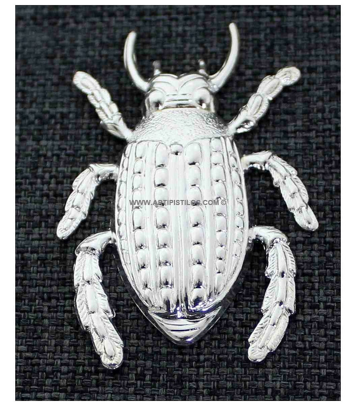 MELOLONTHA 37 X 56 mm