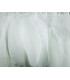 PLUMES DE d'oie 10 - 15 cm