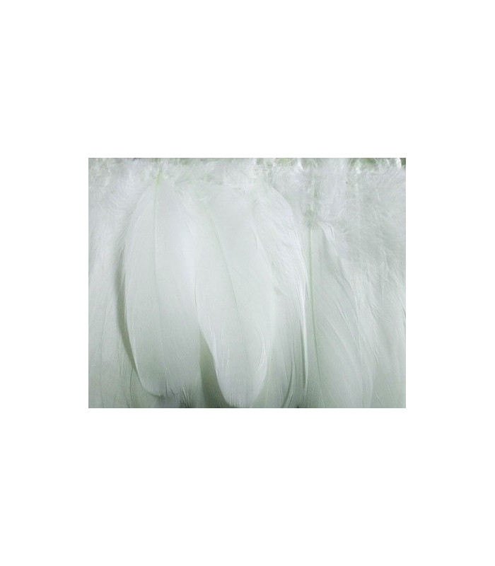 PLUMES DE d'oie 10 - 15 cm