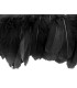 PLUMES DE d'oie 10 - 15 cm