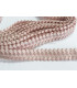 TRESSE RACELLO RAMIE 31 MM.