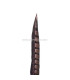 PLUME DE FAISAN LADY AMHERST 55 - 60 CMS.