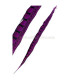 PLUME DE FAISAN LADY AMHERST 55 - 60 CMS.