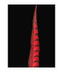 PLUME DE FAISAN LADY AMHERST 55 - 60 CMS.
