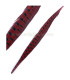 PLUME DE FAISAN 61/66 CMS.