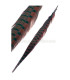 PLUME DE FAISAN 61/66 CMS.