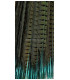 PLUME DE FAISAN 61/66 CMS.