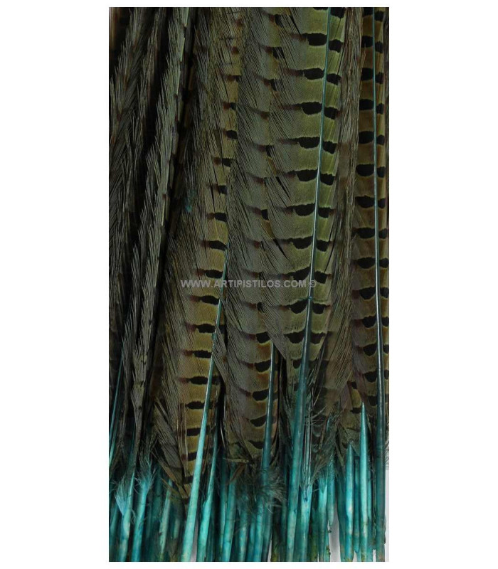PLUME DE FAISAN 61/66 CMS.