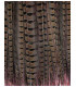 PLUME DE FAISAN 61/66 CMS.