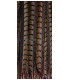PLUME DE FAISAN LADY AMHERST 55 - 60 CMS.