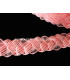 TRESSE RACELLO 33 MM.