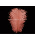 PLUME D´AUTRUCHE 25 - 30 CMS.