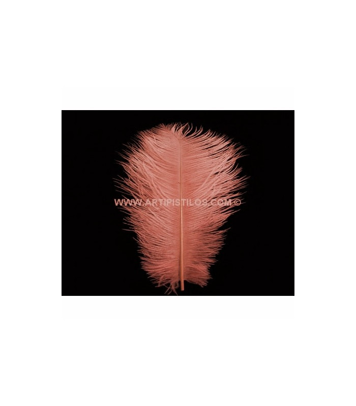 PLUME D´AUTRUCHE 25 - 30 CMS.