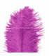 PLUME D´AUTRUCHE PREMIÈRE QUALITÉ 50-55 CMS.