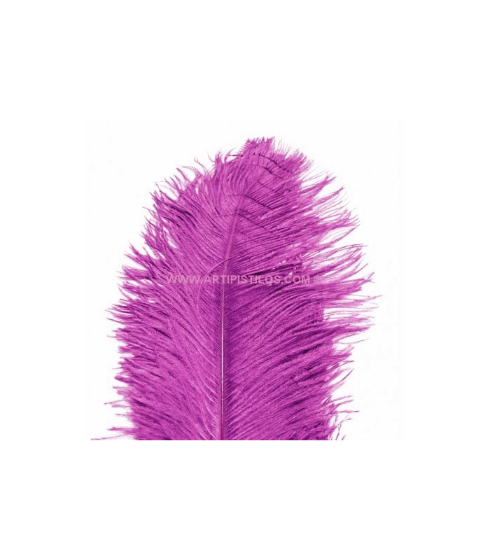 PLUME D´AUTRUCHE PREMIÈRE QUALITÉ 50-55 CMS.