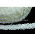 TRESSE RACELLO 28 MM.