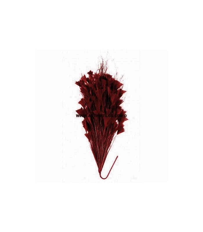 ASSEMBLAGE DE PLUMES 30 X 15 cm