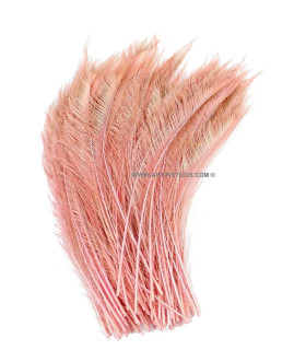 PLUME PAON ÉPÉE 30 CMS.