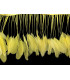 PLUMES DE COQ. RUBAN PREMIÉRE QUALITÉ  - 10 CMS.