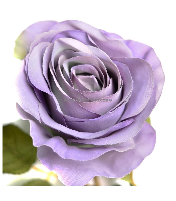 ROSE TISSÚ "ARIADNA"