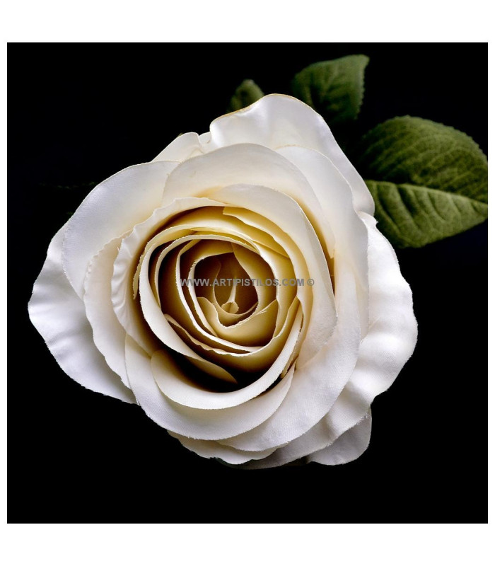 ROSE TISSÚ "ARIADNA"