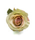 ROSE TISSÚ "ARIADNA"