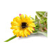 Mini bouquet de tournesols