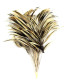 MONTAGE PLUMES DE COQ